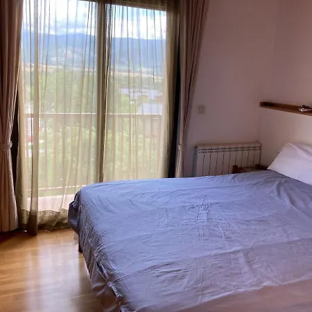 Cal Mercade Apartment *